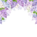 Background with lilac flowers. Vector illustration. Royalty Free Stock Photo