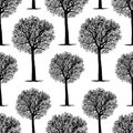 Vector background of silhouettes of trees Royalty Free Stock Photo