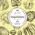 Vector background sketch fresh vegetables. Illustration broccoli, cabbage, basil, lettuce, herbs.