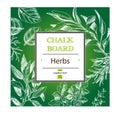 Vector background sketch herbs. Herbs - Bay leaf, dill, thyme, sage, rosemary, Basil, parsley, arugula.