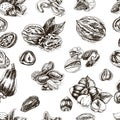 Vector background sketch walnuts, peanut, cashew, hazelnut, almonds, pistachio nut.