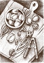 Vector background , sketch , walnuts