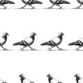 Seamless pattern of striding pigeons