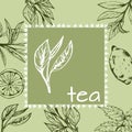 Hand-drawn leaves and branches of tea