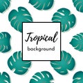 Vector background. Template for card or poster with isolated seamless pattern green exotic tropical palm leaves Royalty Free Stock Photo