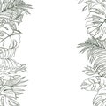 Vector background with tropical plants. Sketch illustration