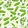 Vector background with vegetables in cartoon style.