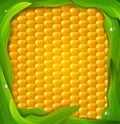 Vector background. Yellow corn, green leaves around Royalty Free Stock Photo