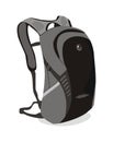 Vector backpack bag for school