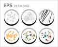 Vector bacteria cells in petri dishes isolated