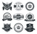 Vector badges and labels set