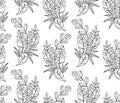 Vector balck and white seamless pattern of tropical leaves and f