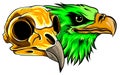 Vector Bald Eagle or Hawk Head Mascot Graphic