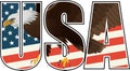 Vector Bald Eagle on US flag illustration