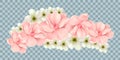 Vector Bali flowers border isolated on transparency grid background