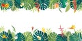 Vector Balinese Polynesian Summer beautiful jungle exotic leaves long horizontal copyspace banner. Botanical summer hibiscus,