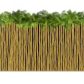 Vector Bamboo Border with Palm