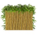 Vector Bamboo Fence with Palm