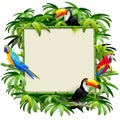 Vector Bamboo Frame with Tropics Birds