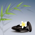 vector bamboo, frangipani and stones