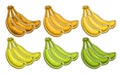 Vector Banana Bunch Set