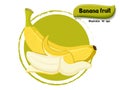 Vector Banana fruit isolated on color background,illustrator 10 eps