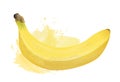 Vector banana illustration with watercolor effect isolated on white background