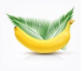 Vector banana isolated