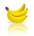 Vector bananas Royalty Free Stock Photo