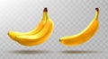 Vector bananas isolated on transparent background