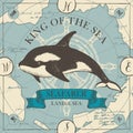 Vector banner with big hand-drawn killer whale Royalty Free Stock Photo
