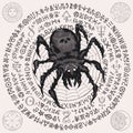 Vector banner with a big hand drawn spider Royalty Free Stock Photo