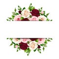 Banner with burgundy, pink and white roses. Vector illustration. Royalty Free Stock Photo