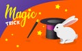 Vector banner with funny white rabbit, magic hat and wand. Trick with a rabbit out of a hat. Little white rabbit, black