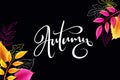 Vector banner with hand lettering label - autumn - and leaves
