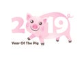 Illustration of kawaii pig, symbol of 2019 on the Chinese calendar. Royalty Free Stock Photo