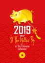 Illustration of kawaii pig, symbol of 2019 on the Chinese calendar.