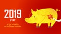 Illustration of kawaii pig, symbol of 2019 on the Chinese calendar. Royalty Free Stock Photo