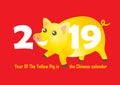 Illustration of kawaii pig, symbol of 2019 on the Chinese calendar.