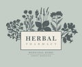 Vector banner for herbal pharmacy in retro style