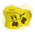 Vector banner with olive branch. Illustration for design, web and decor