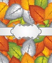 Vector banner and seamless leaves background included