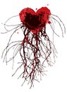 Red heart, blood vessels and veins or tree roots