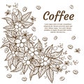 Vector banner template with branches of coffee tree with flowers, leaves, berries and beans. Border coffee plant Royalty Free Stock Photo