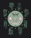 Vector banner with caduceus and medicinal plants