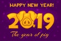 Vector banner in the year of the orange pig. Happy 2019 New Year Royalty Free Stock Photo