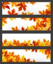 Vector banners with colorful autumn leaves. Eps-10. Royalty Free Stock Photo