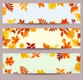Vector banners with colorful autumn leaves. Royalty Free Stock Photo