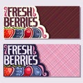 Vector banners for Fresh Berries