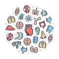 Vector organs and anatomy colored icons in circle design concept. Illustration for presentations on white background